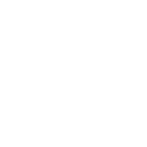 Driver Icon